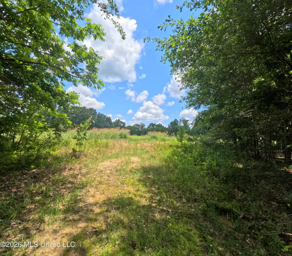 Old Port Gibson/cook Road Utica, MS 39175