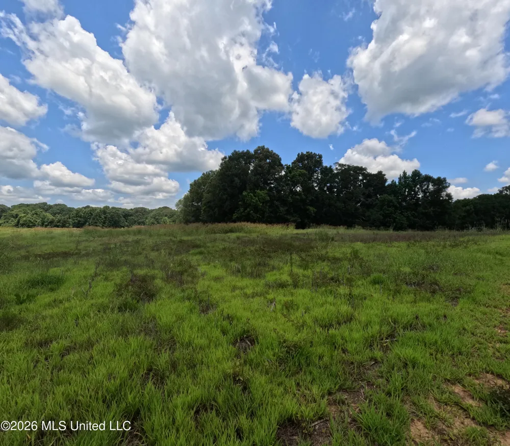 Old Port Gibson/cook Road Utica, MS 39175