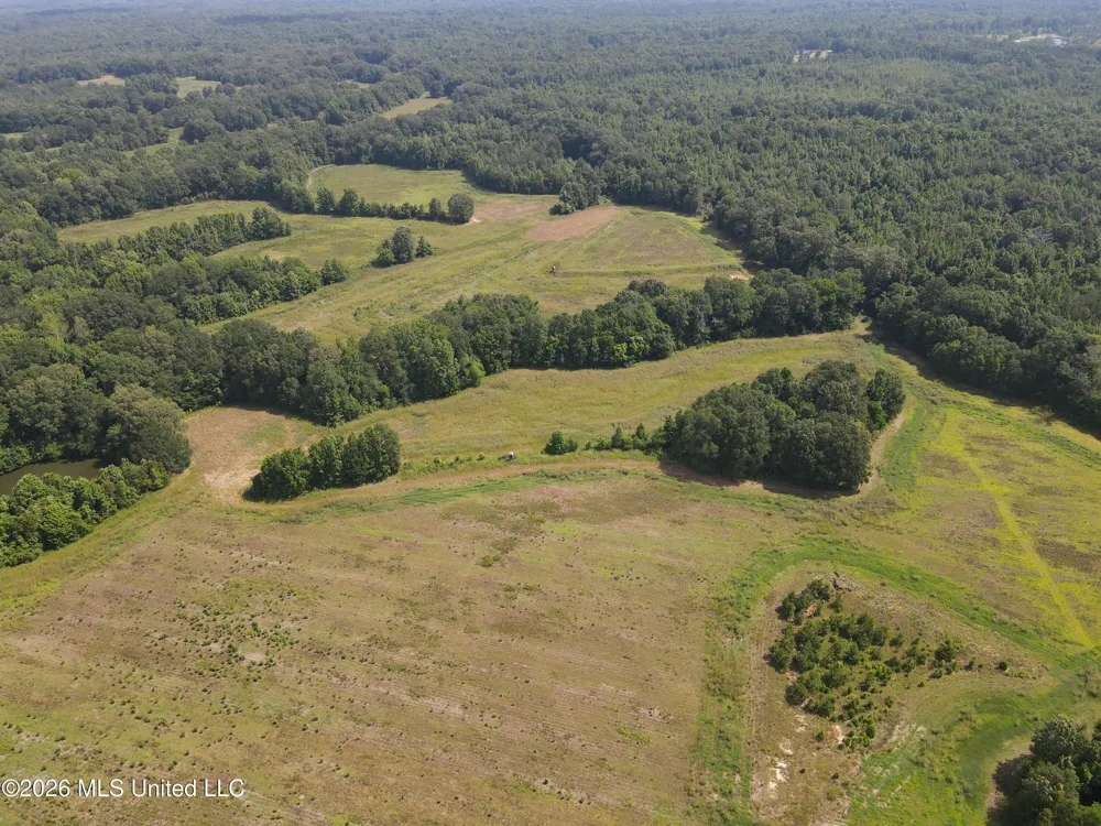 Old Port Gibson/cook Road Utica, MS 39175