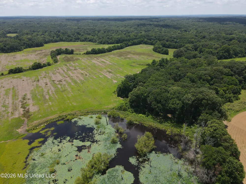 Old Port Gibson/cook Road Utica, MS 39175