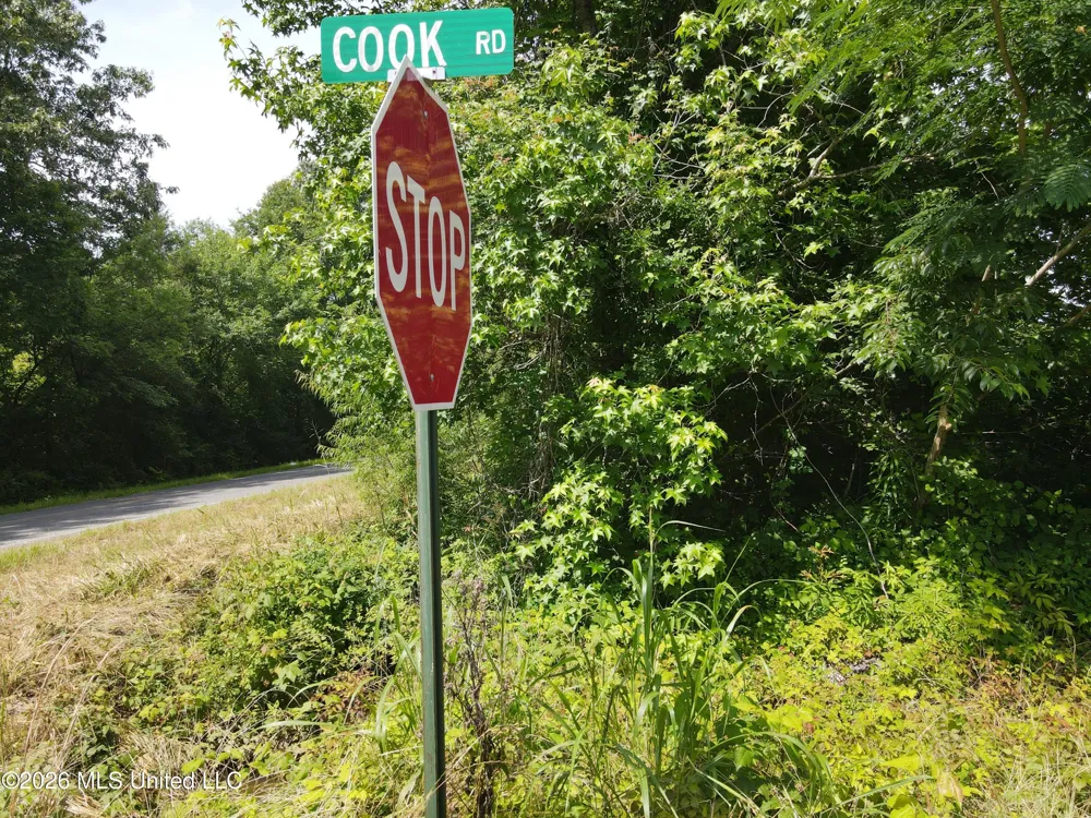 Old Port Gibson/cook Road Utica, MS 39175