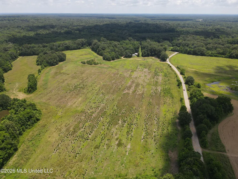 Old Port Gibson/cook Road Utica, MS 39175