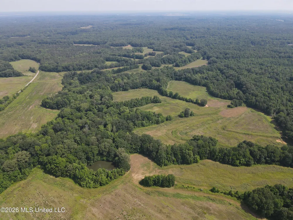 Old Port Gibson/cook Road Utica, MS 39175