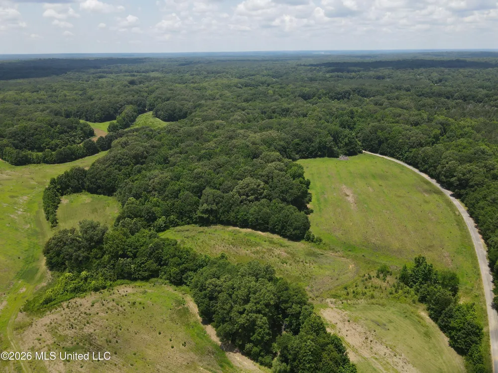 Old Port Gibson/cook Road Utica, MS 39175