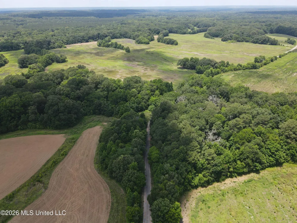 Old Port Gibson/cook Road Utica, MS 39175
