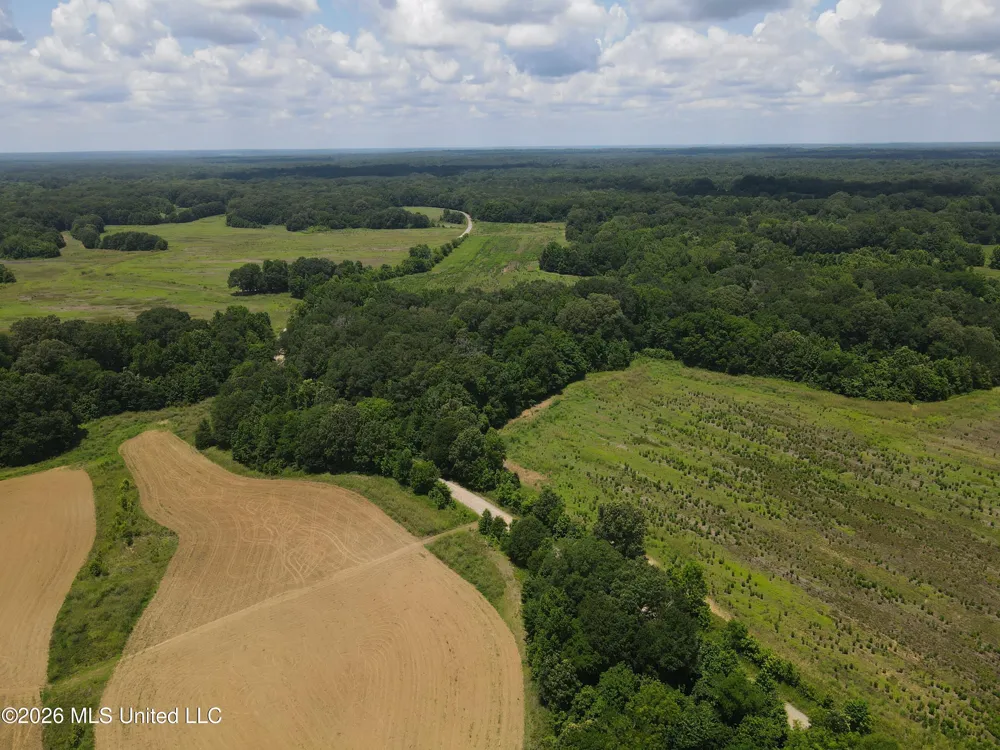 Old Port Gibson/cook Road Utica, MS 39175