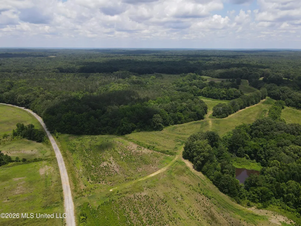 Old Port Gibson/cook Road Utica, MS 39175
