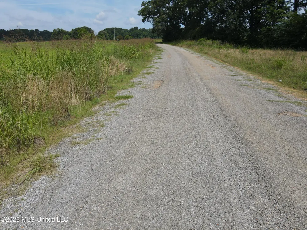 Old Port Gibson/cook Road Utica, MS 39175
