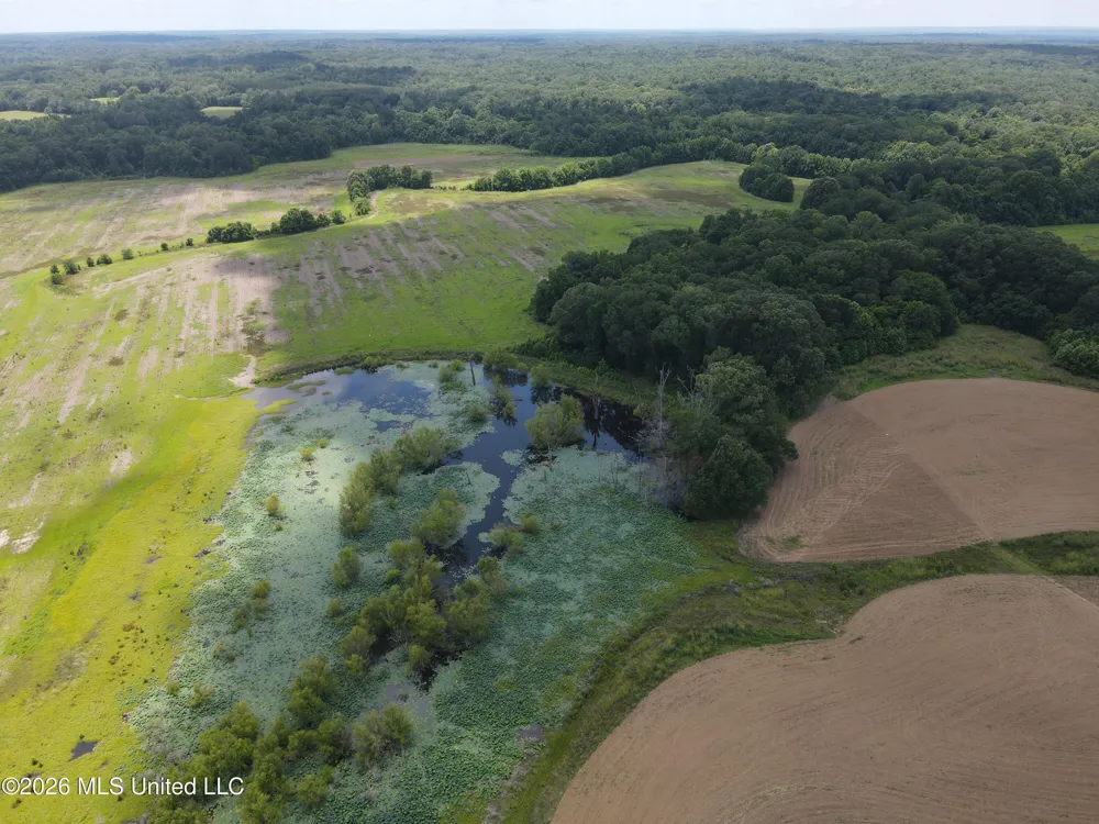 Old Port Gibson/cook Road Utica, MS 39175