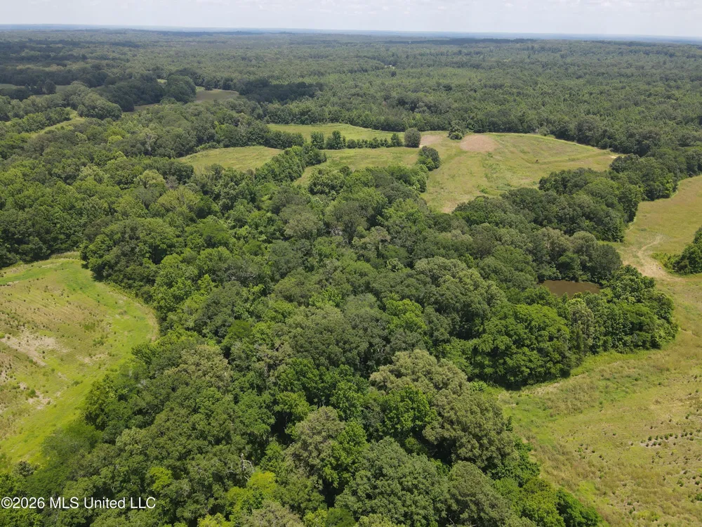 Old Port Gibson/cook Road Utica, MS 39175