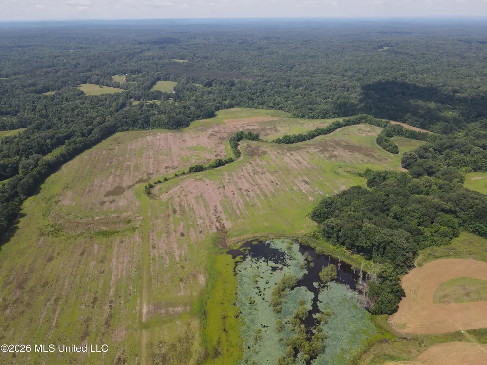 Old Port Gibson/cook Road Utica, MS 39175