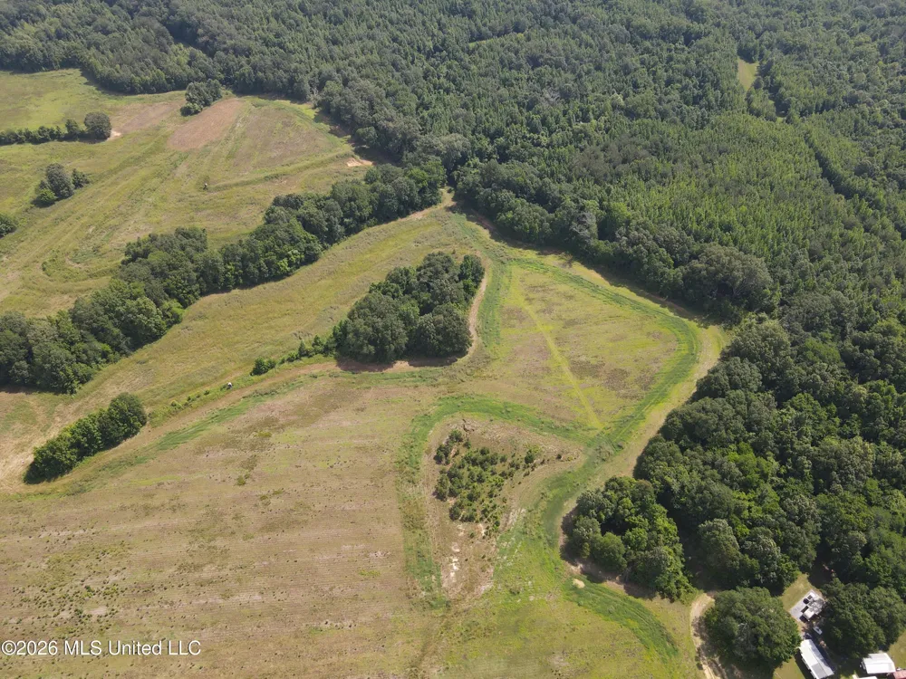 Old Port Gibson/cook Road Utica, MS 39175