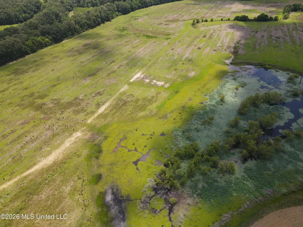 Old Port Gibson/cook Road Utica, MS 39175