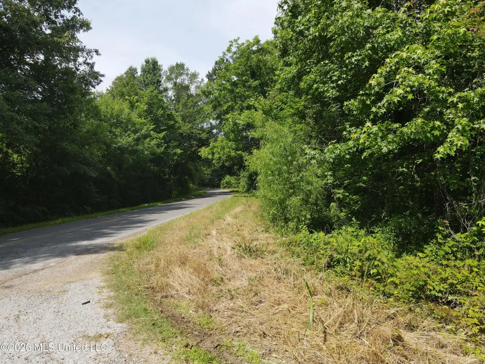 Old Port Gibson/cook Road Utica, MS 39175