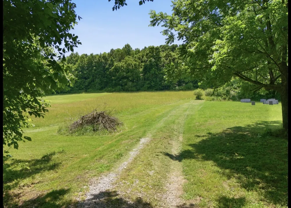 17 Dog Branch Rd S Pleasant Shade, TN 37145