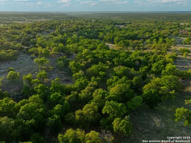 862 Grape Creek Road Fredericksburg, TX 78624