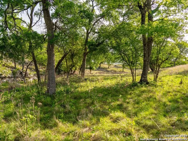 862 Grape Creek Road Fredericksburg, TX 78624