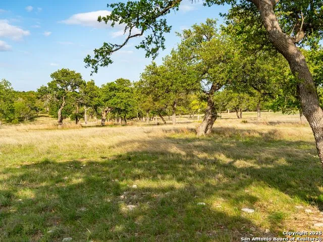 862 Grape Creek Road Fredericksburg, TX 78624