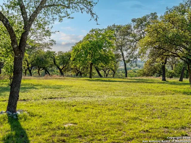862 Grape Creek Road Fredericksburg, TX 78624