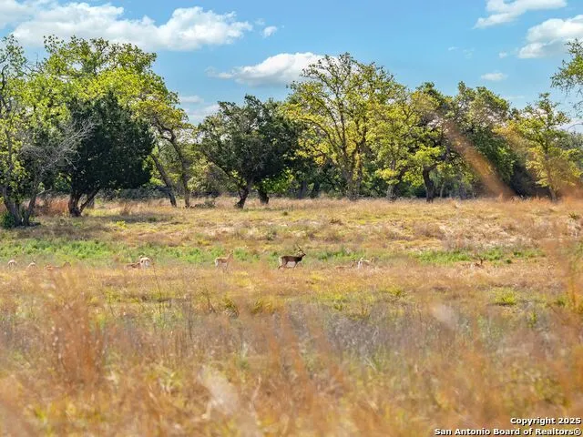 862 Grape Creek Road Fredericksburg, TX 78624