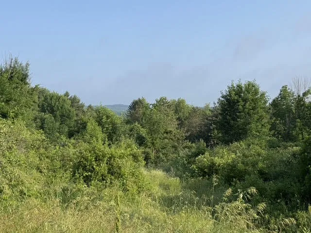 E M-79 Nashville, MI 49073