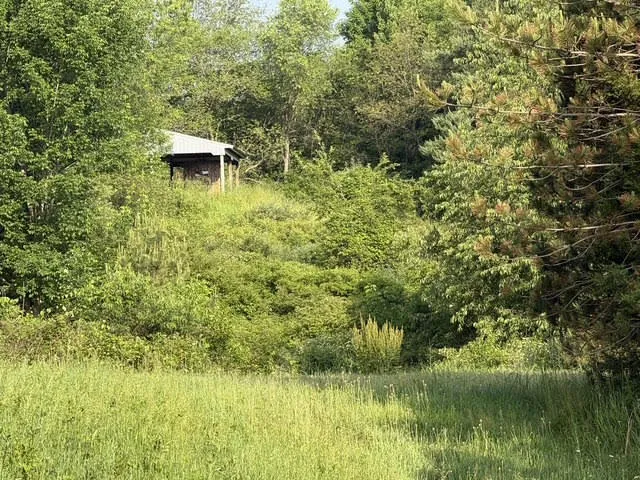 E M-79 Nashville, MI 49073