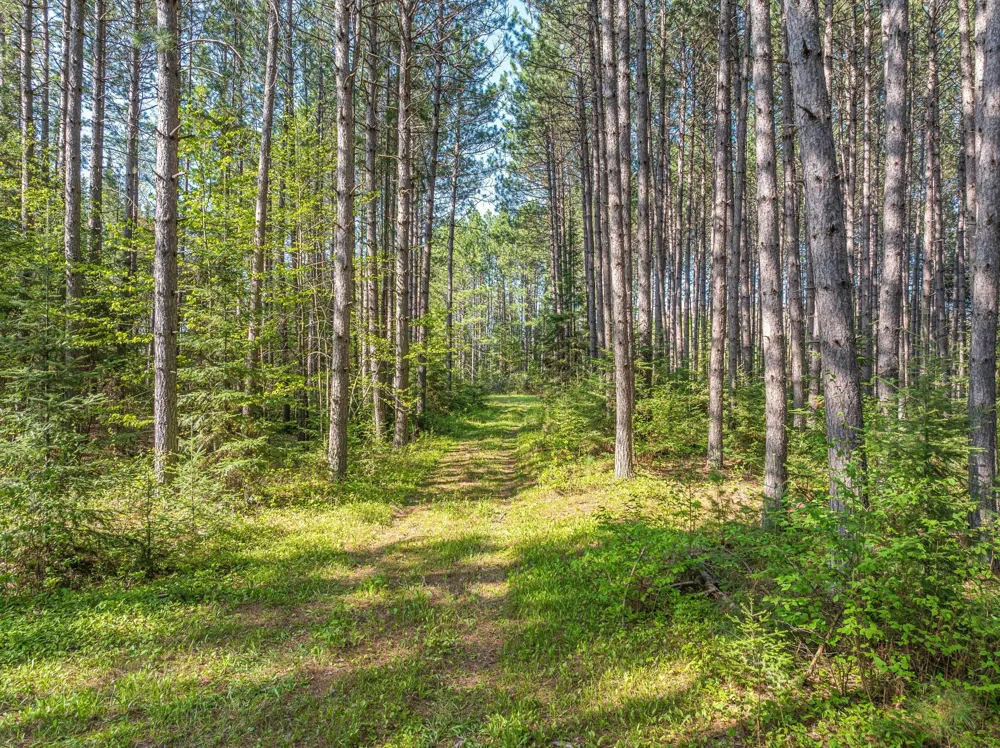 2685 Elliots Lake Road Eveleth, MN 55734