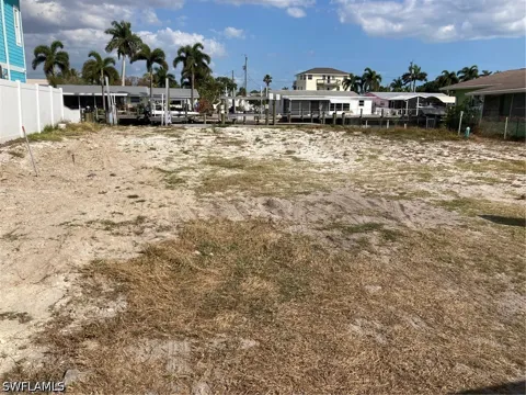 TRIGGERFISH STREET