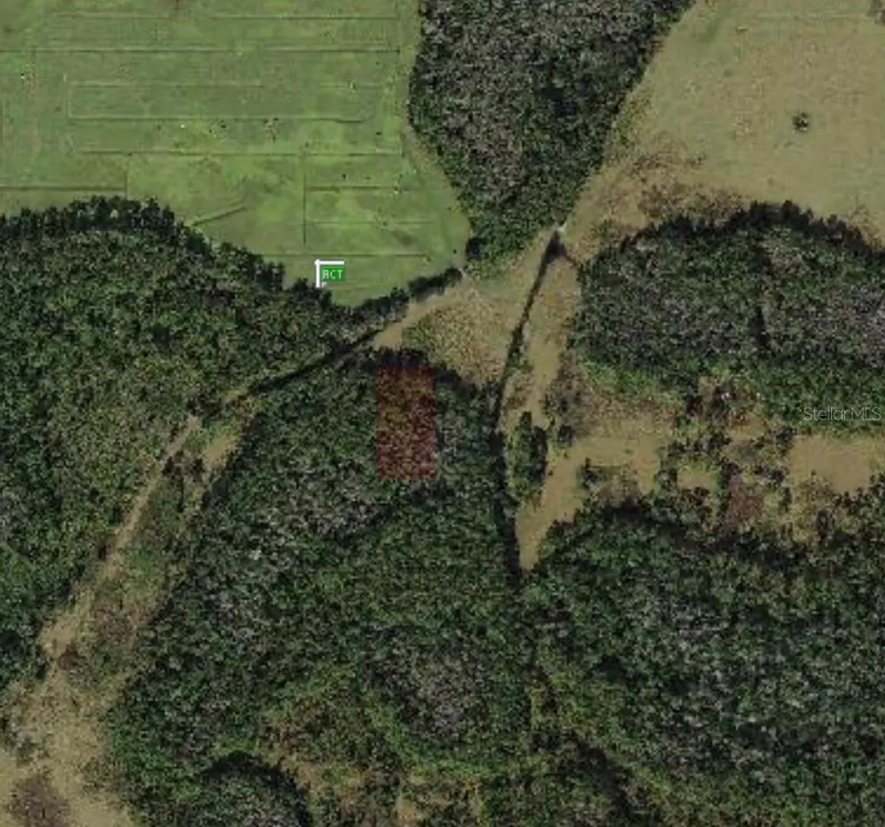 POLK CITY Polk City, FL 33868