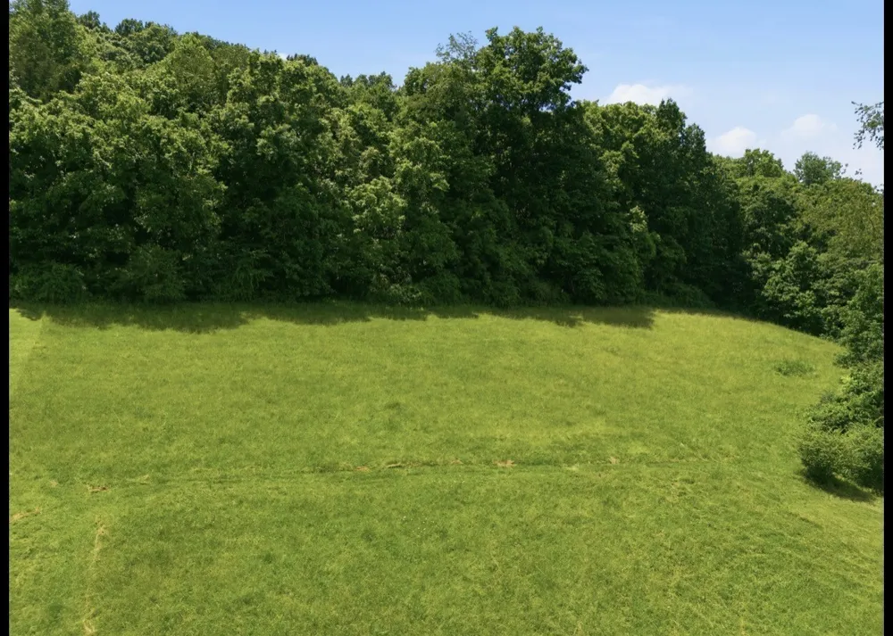 17 Dog Branch Rd S Pleasant Shade, TN 37145