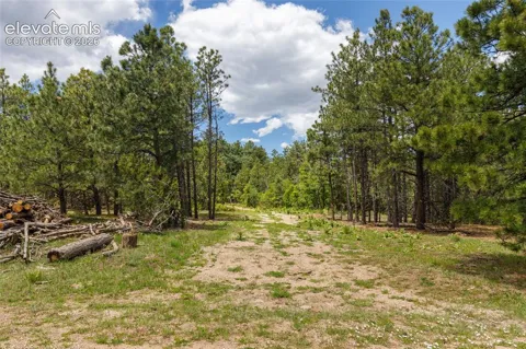 8719 Ponderosa Pine Drive