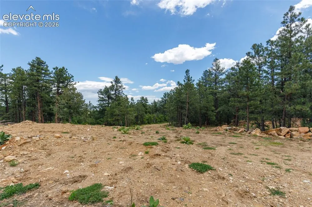 8719 Ponderosa Pine Drive Beulah, CO 81023