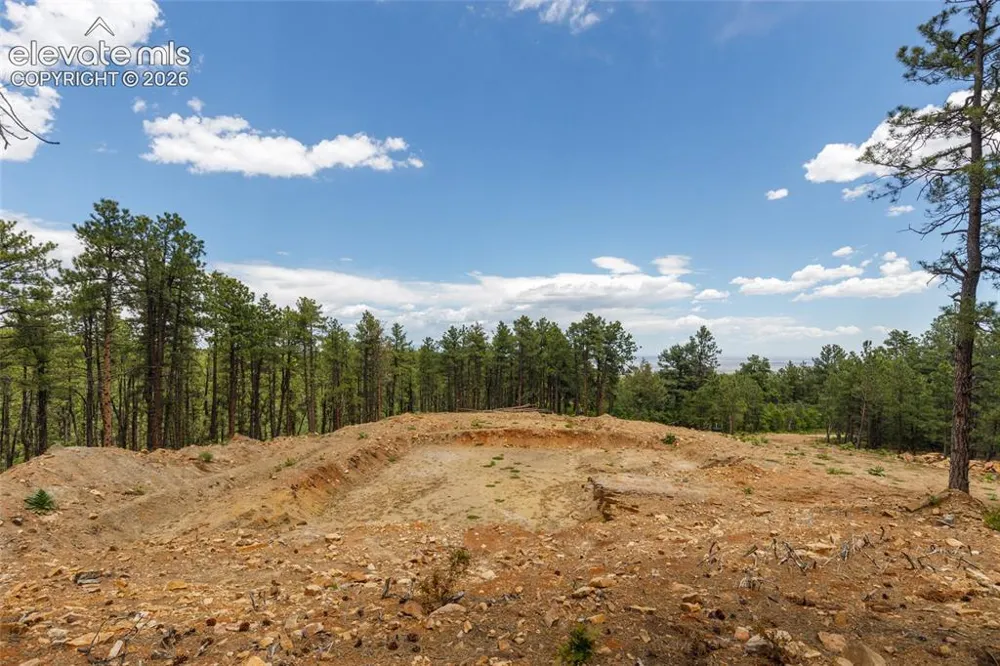 8719 Ponderosa Pine Drive Beulah, CO 81023