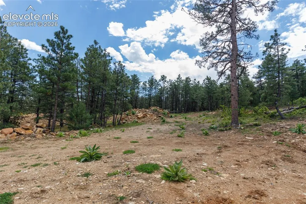 8719 Ponderosa Pine Drive Beulah, CO 81023