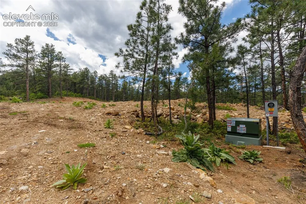 8719 Ponderosa Pine Drive Beulah, CO 81023