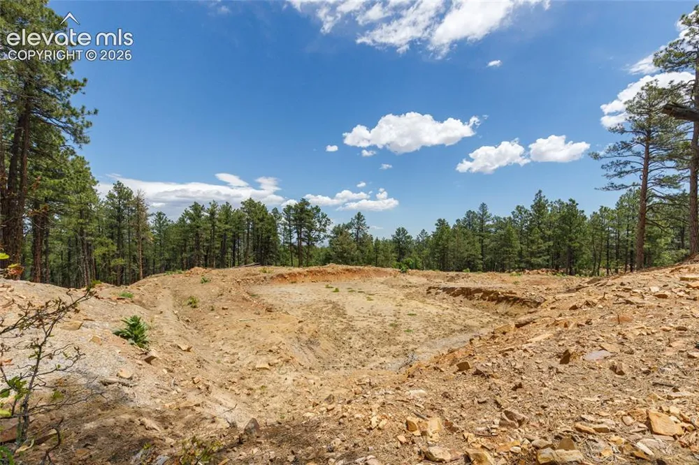 8719 Ponderosa Pine Drive Beulah, CO 81023