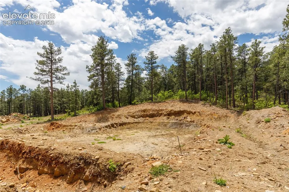 8719 Ponderosa Pine Drive Beulah, CO 81023