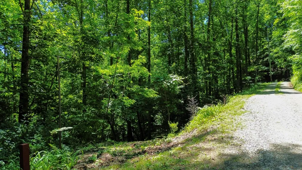 Woodcrest Circle Franklin, NC 28734