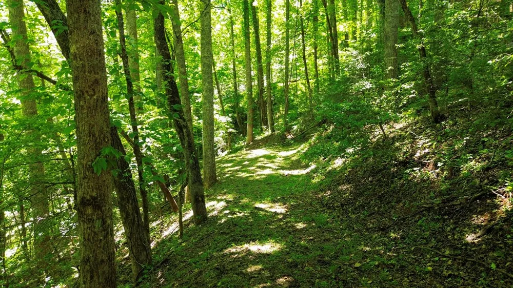 Woodcrest Circle Franklin, NC 28734