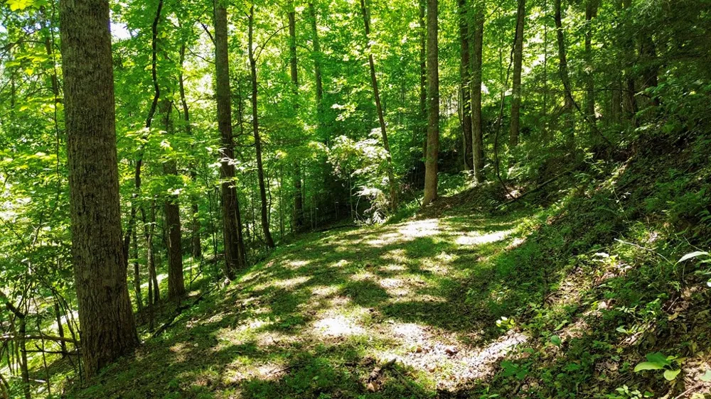 Woodcrest Circle Franklin, NC 28734