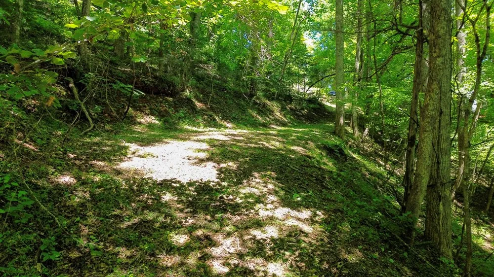 Woodcrest Circle Franklin, NC 28734