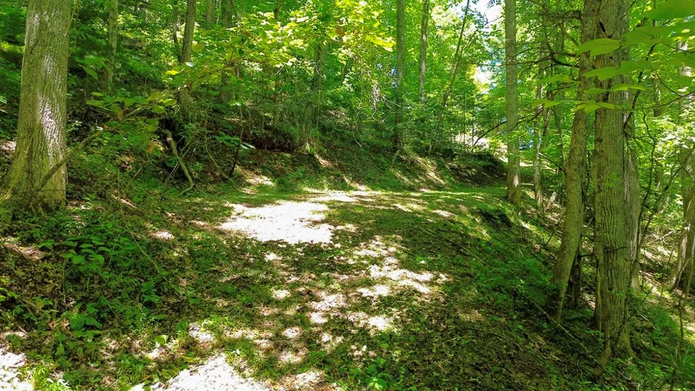 Woodcrest Circle Franklin, NC 28734