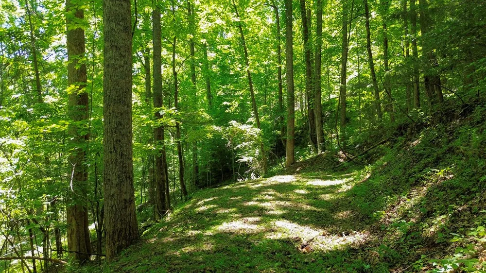 Woodcrest Circle Franklin, NC 28734