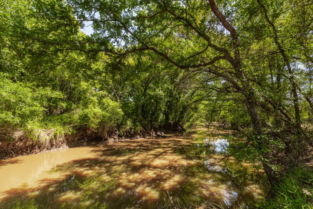 County Road 120 Coleman, TX 76834