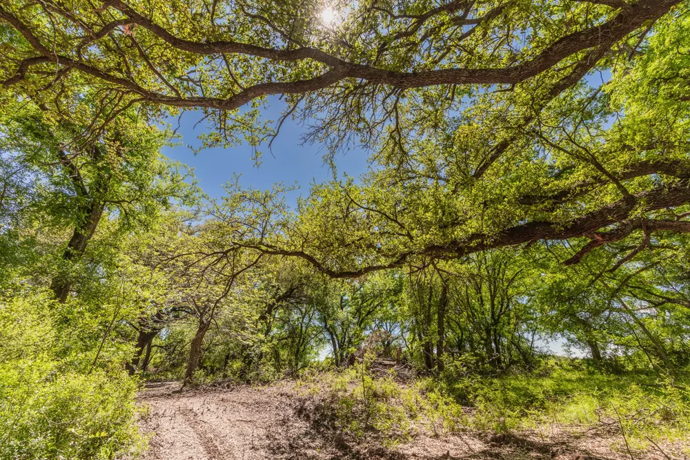 County Road 120 Coleman, TX 76834
