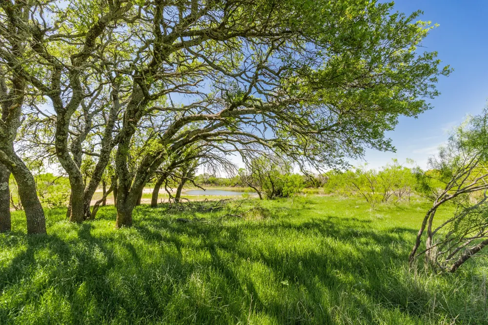 County Road 120 Coleman, TX 76834