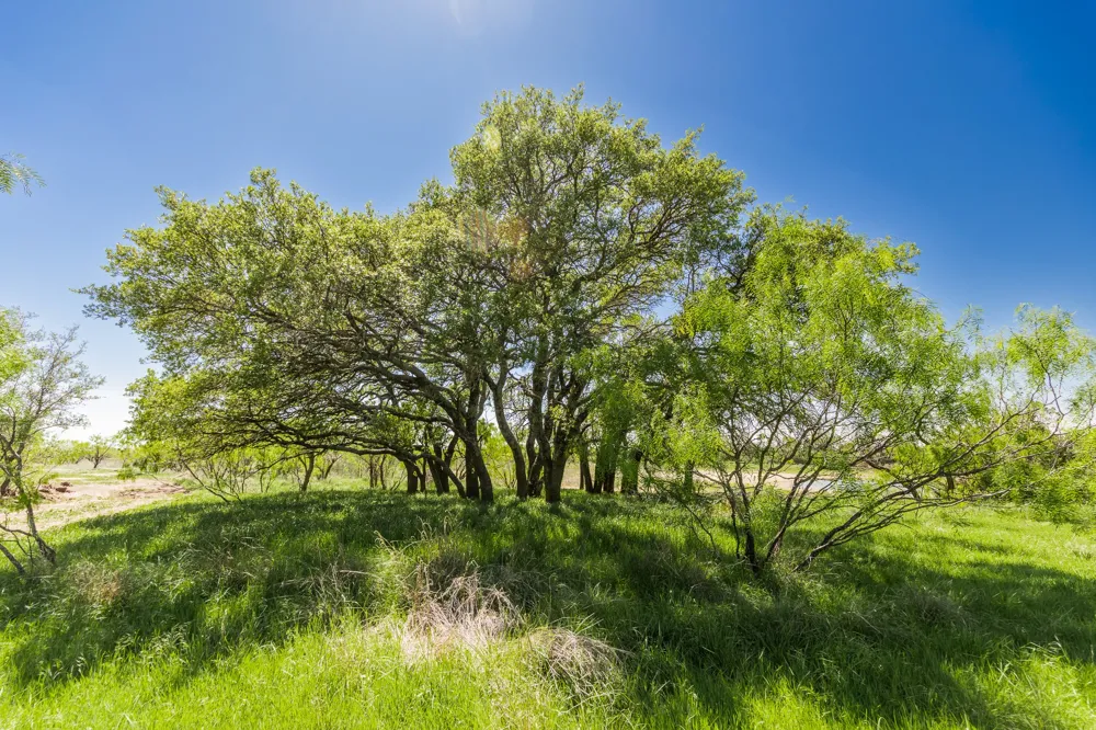 County Road 120 Coleman, TX 76834