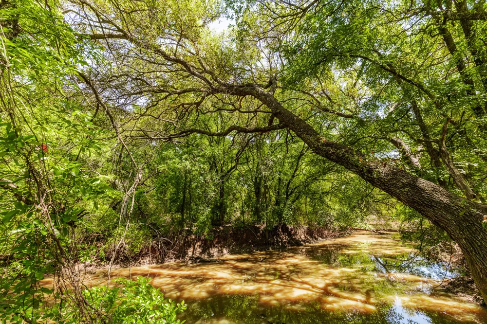 County Road 120 Coleman, TX 76834