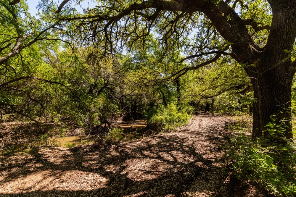 County Road 120 Coleman, TX 76834