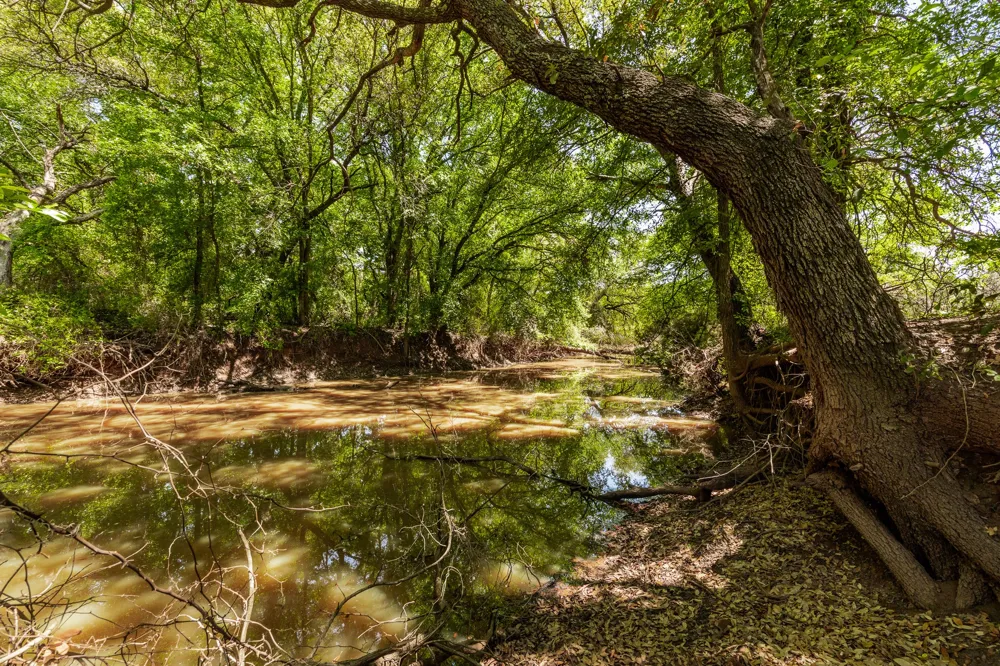 County Road 120 Coleman, TX 76834